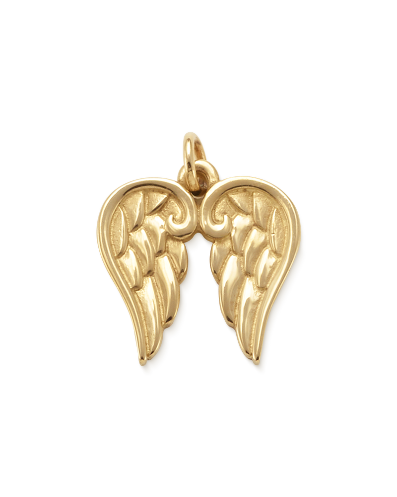 Angel Wings Charm
