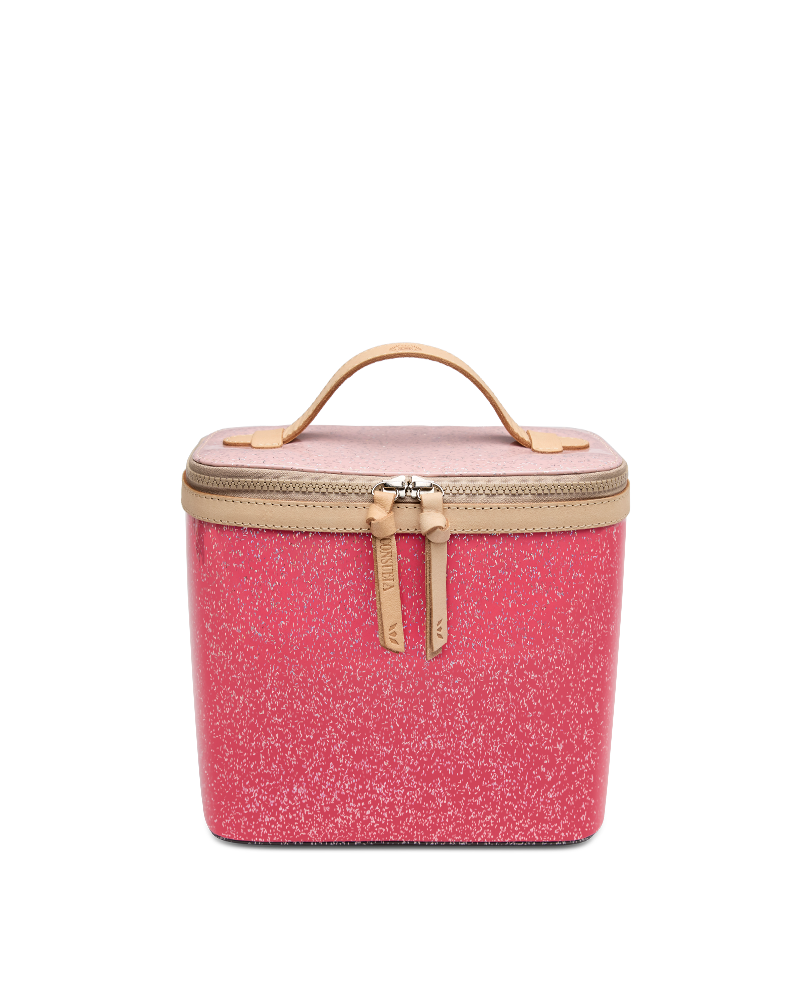 Bae Slim Train Case